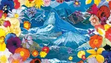 Islet - 'Celebrate This Place' (Shape/Turnstile)