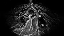 Bandcamp Roundup: March 2016